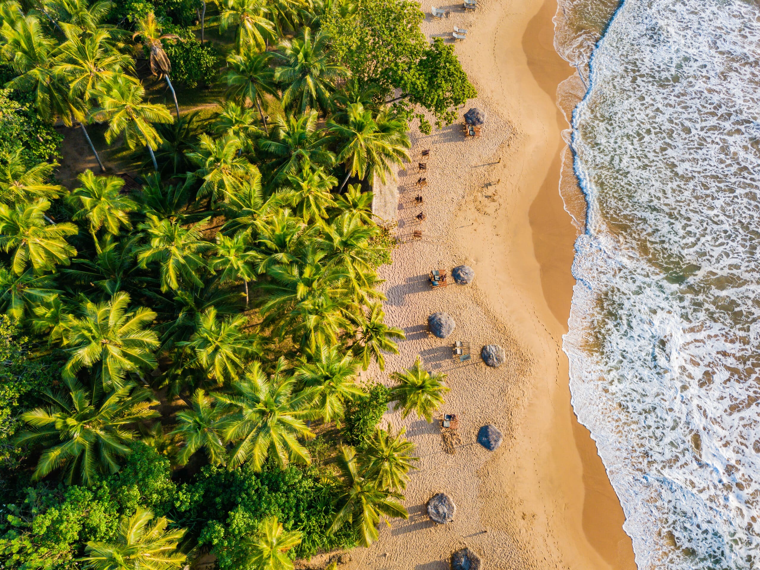 Sunset at one of the best beaches in sri lanka, with palm trees silhouetted against golden skies and gentle waves lapping the shore